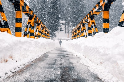 白天被雪覆盖的道路
